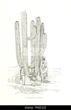 Libre à partir de la page 131 de "dans le pays de Falaise et Cave Dwellers [c.-à-d. Le nord du Mexique]' . Banque D'Images