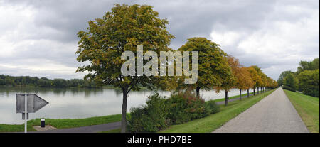 Allée avec le marronnier d'arbres au bord du Danube Banque D'Images