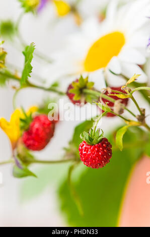 Bouquet de fleurs de la forêt de l'été et les fraises Banque D'Images