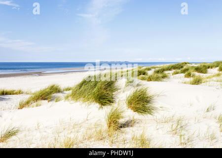 Plage avec des dunes sur Amrum, Allemagne Banque D'Images