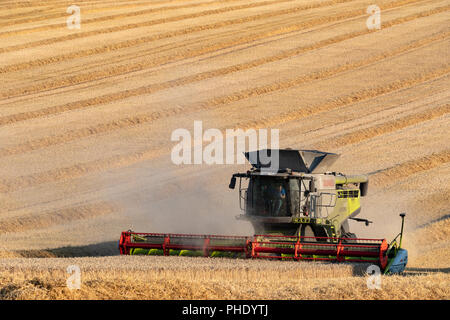 Temps de récolte - Une coupe de récolte de blé dans la campagne du nord du Yorkshire, Angleterre. Banque D'Images