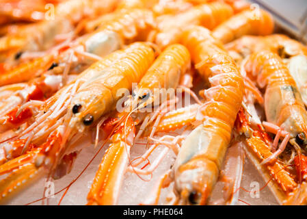 Pile de crevettes fraîches rouge Banque D'Images