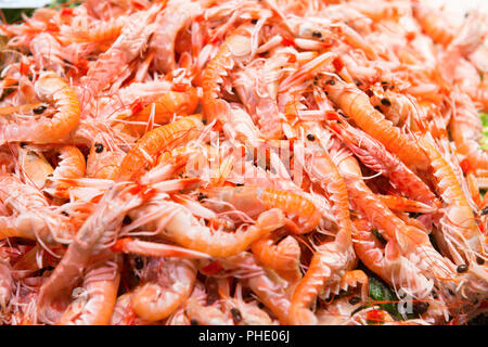 Pile de crevettes fraîches rouge Banque D'Images