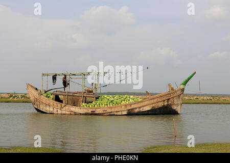 Transport de pastèque en bateau par la rivière Tetulia district à Milan, au Bangladesh Banque D'Images