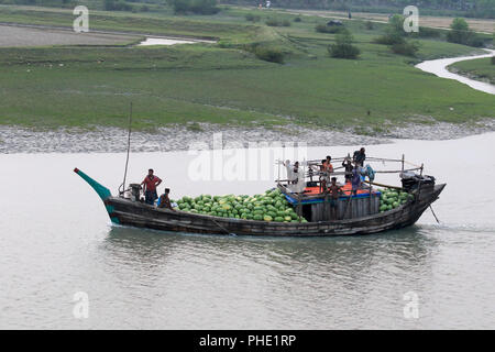 Transport de pastèque en bateau par la rivière Tetulia district à Milan, au Bangladesh Banque D'Images