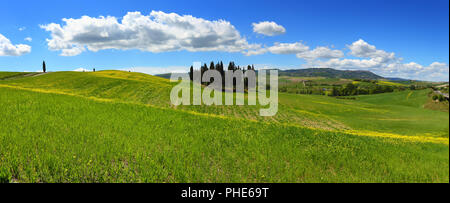 Tuscany panorama hills landscape Banque D'Images