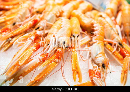 Pile de crevettes fraîches rouge Banque D'Images