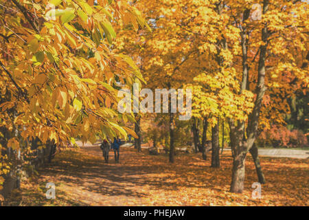 Couple en train de marcher le long de l'allée d'automne dans le parc de la ville Banque D'Images