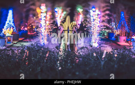Lumière de Noël à bokeh jardins daniel stowe belmont Caroline du Nord. Banque D'Images