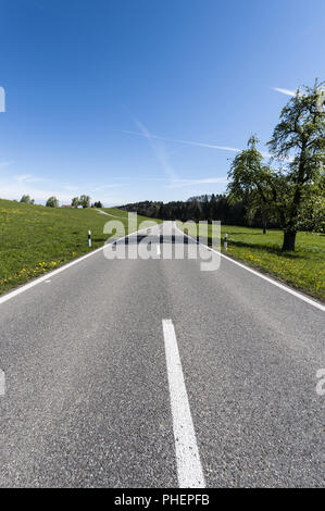 Route asphaltée entre prairies en Suisse Banque D'Images