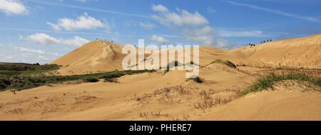 Rubjerg Knude unique de dunes, dans Jylland, Danemark. Banque D'Images