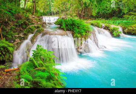 Cascade de île de Siquijor. Philippines Banque D'Images