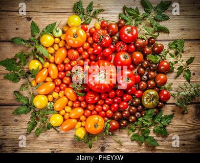 Télévision à jeter de tomates mûres colorés sur fond de bois rustique Banque D'Images