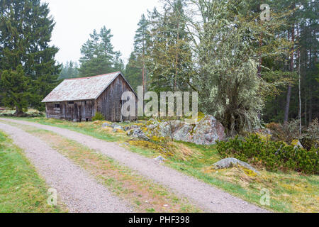 Ancien hangar à la route de terre dans la forêt Banque D'Images