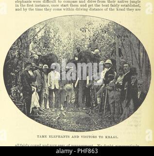 Libre à partir de la page 316 de "Ceylan en 1893, etc' . Banque D'Images