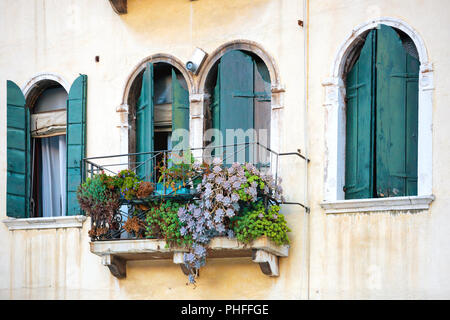 Fleurs dans une boîte sur la fenêtre Banque D'Images