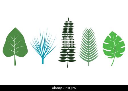 Tropical différentes feuilles sur fond blanc vector Illustration de Vecteur