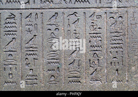 Les hiéroglyphes égyptiens sur le sarcophage de Nectanebo II, le dernier pharaon égyptien natif. British Museum, Bloomsbury, London, England, UK. Banque D'Images