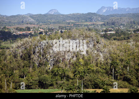 Vue panoramique sur la Vallée de Vinales. Cuba Banque D'Images