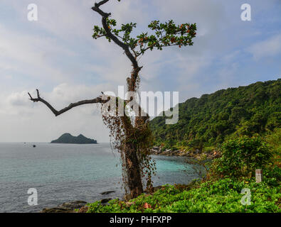 Seascape de Tho Chau Island (Poulo Panjang) dans, Kien Giang au Vietnam. Banque D'Images