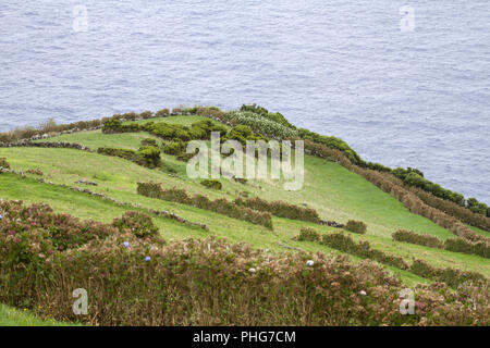 Corvo Island, Portugal Azoren, Banque D'Images