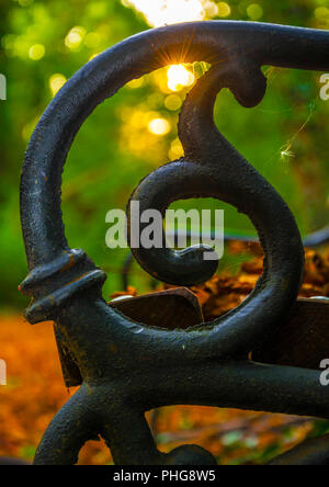 Banc en bois avec pieds en fer forgé noir et métal poubelle dans le parc sur fond de pelouse verte et le coucher du soleil. Banque D'Images