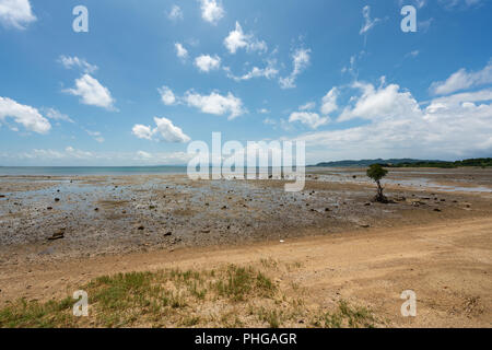 Landsape de Nagura Bay à marée basse à Ishigaki Île d'Okinawa, Japon. Banque D'Images