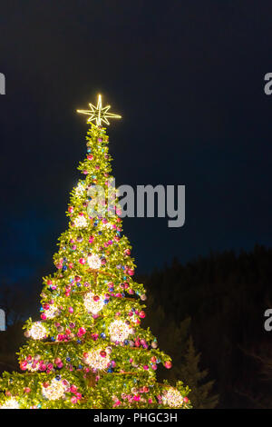 Immense Arbre de Noël Banque D'Images