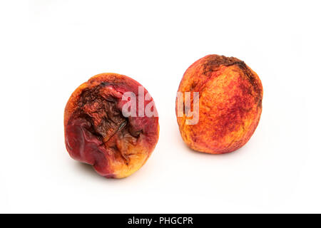 Une photo de deux nectarines pourris. La forme est déformé et qu'ils sont immangeables. Isolé sur fond blanc. Banque D'Images