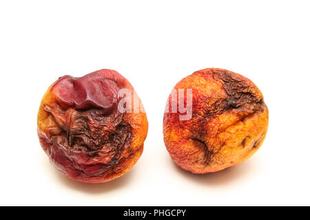 Une photo de deux nectarines pourris. La forme est déformé et qu'ils sont immangeables. Isolé sur fond blanc. Banque D'Images