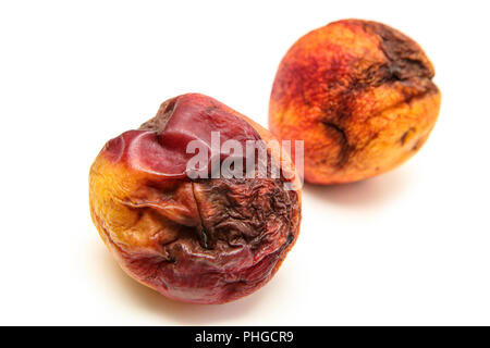 Une photo de deux nectarines pourris. La forme est déformé et qu'ils sont immangeables. Isolé sur fond blanc. Banque D'Images