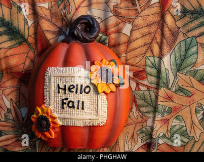 Une citrouille avec un tissu de fond grande halloween. Banque D'Images