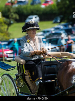 Concours d'élégance de trot à Chagford Show 2018 Banque D'Images