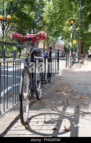 Vélo au passage piétons, Chiswick High Street (Londres, UK) Banque D'Images