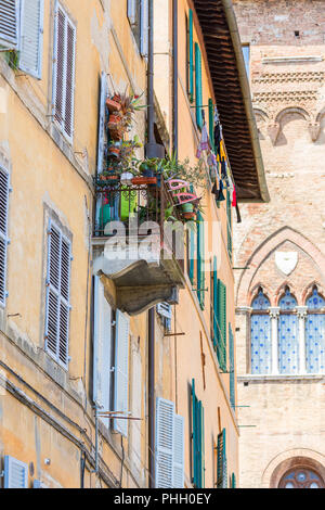 Balcon avec de nombreuses plantes vertes Banque D'Images