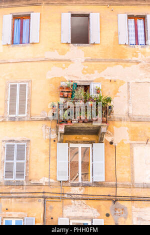 Balcon avec des plantes vertes dans une vieille maison Banque D'Images