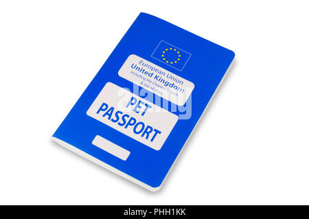 Portrait d'un passeport européen isolé sur blanc - John Gollop Banque D'Images