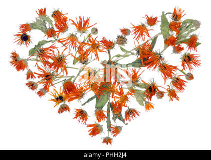 Coeur brisé par une attaque cardiaque concept Banque D'Images