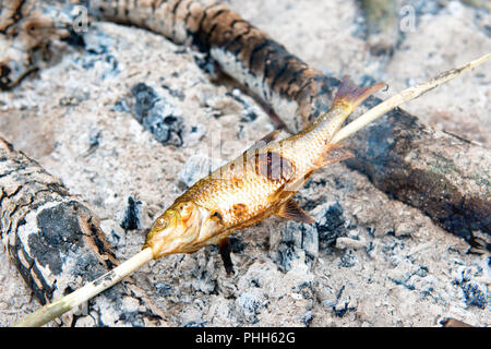 Les poissons grillés sur le feu Banque D'Images