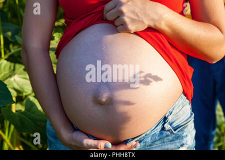 Fille enceinte dans la nature. Séance photo d'une fille enceinte à jint et rouge t-shirt dans un champ au coucher du soleil Banque D'Images