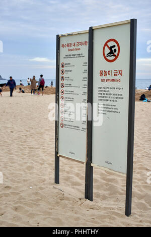 La plage de Haeundae, Busan - signal indiquant la plage des lois pour les visiteurs de la plage. Pas de piscine. Banque D'Images