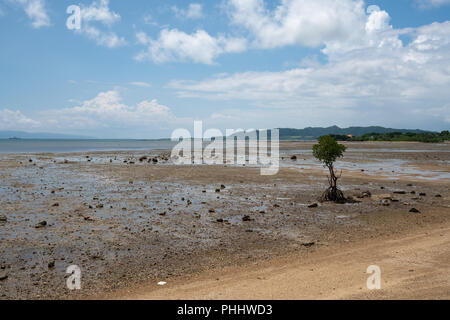 Landsape de Nagura Bay à marée basse à Ishigaki Île d'Okinawa, Japon. Banque D'Images