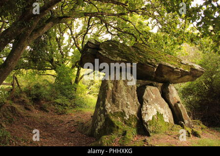 Dolmen dans le bois vert Banque D'Images