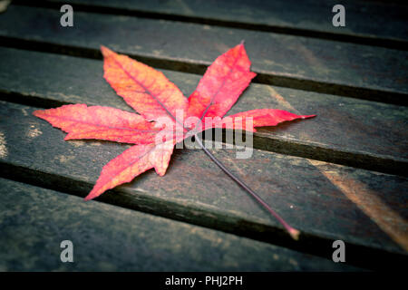 Feuille d'automne sur une table en bois Banque D'Images