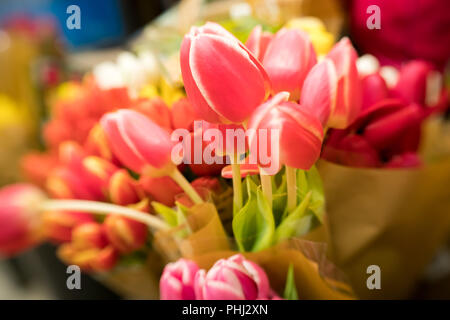Pile de tulipes rouges en vente Banque D'Images