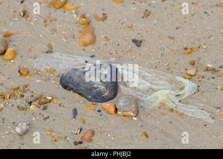 Galets gris et blanc sur la plage drapé d'un sac en polyéthylène échoués à marée basse. Banque D'Images