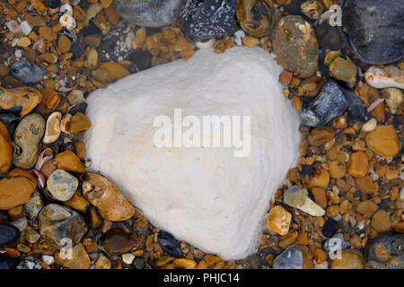 Grande pierre de craie blanche sur une plage de galets à East Preston, West Sussex Banque D'Images