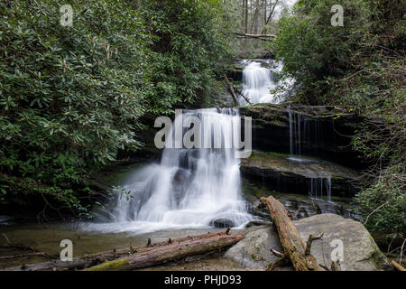 Martin Creek Falls sont situés le long de la piste à l'extérieur de l'Warwoman Bartram Dell dans Clayton, Géorgie. Le plus grand d'une série de gouttes à cette chute d'eau est d'environ 30 pieds. Ils peuvent être atteint par un sentier à partir de Warwoman de pique-nique (2,5 miles) ou via une promenade plus courte d'une forêt voisine service road. Banque D'Images