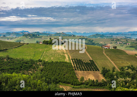 Les vignobles des Langhe, Piémont, UNESCO World Heritage Banque D'Images