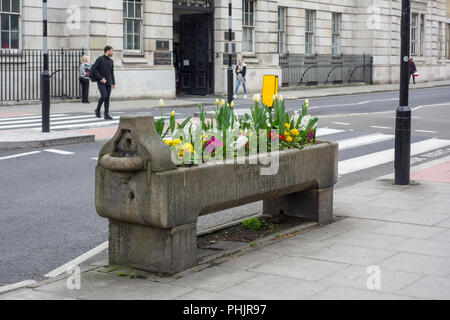 Abreuvoir historique planté de fleurs, Fontaine d'eau potable et de bovins métropolitaine par association, Ville de London, UK Banque D'Images